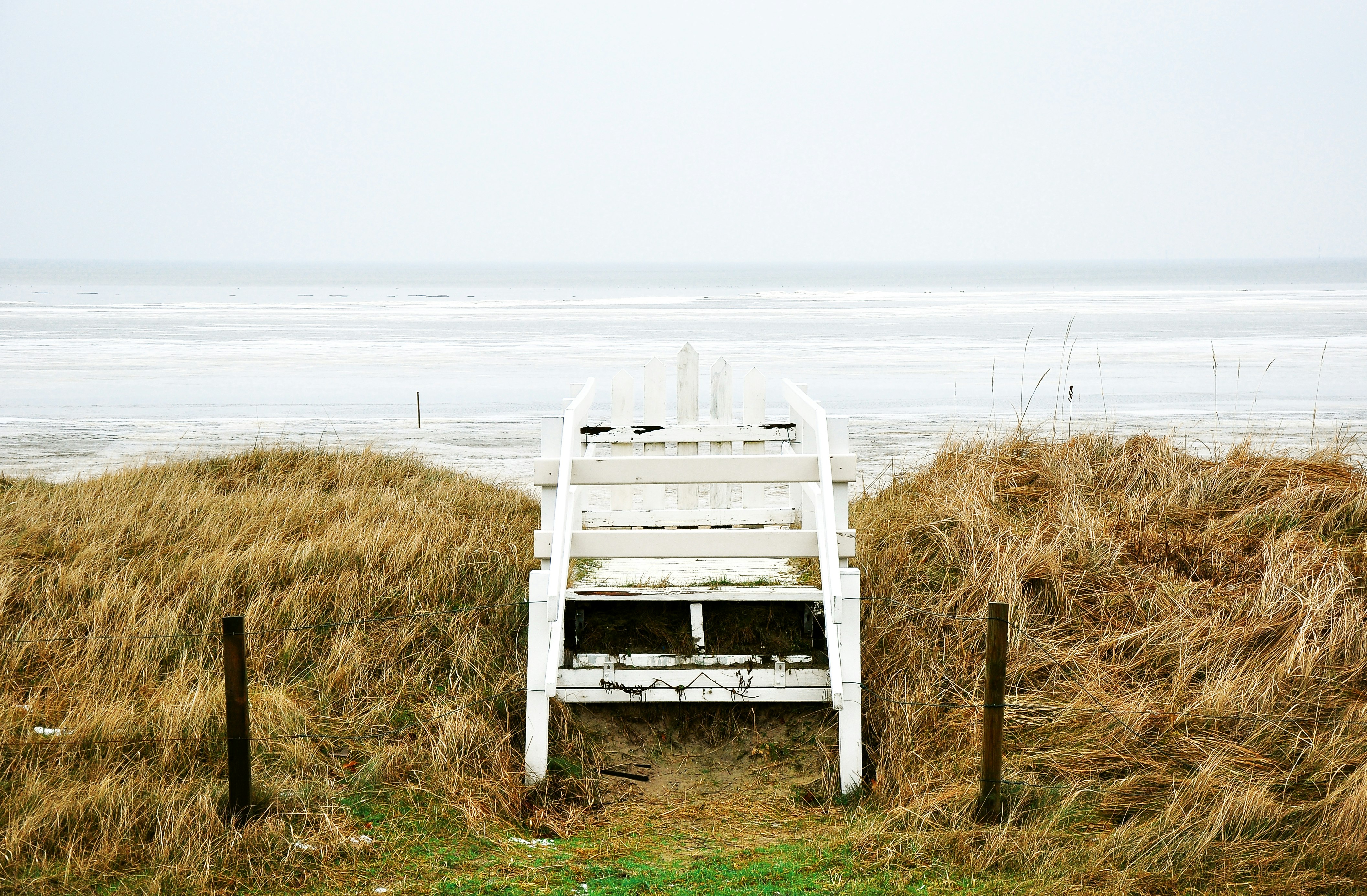 white wooden chair near body of water